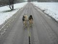 DSCN160311.jpg